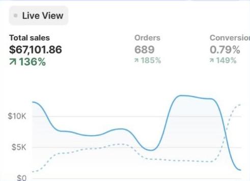 Echter Screen aus Shopify, Namen geschwärzt
